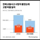 조진사고가 이미지