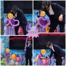 덕성초교병설 이미지
