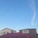 냉동집 | [수원] 빨간지붕 행궁동 맛집 냉동삼겹살 가성비 좋은 고기집 후기