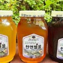 대근농장 이미지