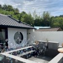 스테이더담 무안점 이미지