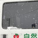 레몬렌트 이미지