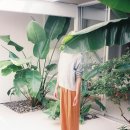 디자인이즈 이미지