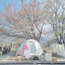신남로R 네이버블로그