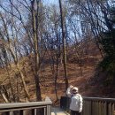 산림욕장 이미지