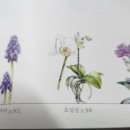 당신의 꽃그림 보테니컬 아트 네이버블로그