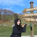 그린카하우스 이미지