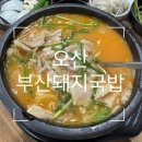 오산돼지국밥 | [오산] 오산대 국밥 맛집 ‘부산돼지국밥’ 오산본점 - ‘내돈내산 솔직후기’