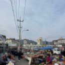 순천 아랫장 | 순천 아랫장 장날 방문 후기 🧺 + 붕어빵 먹방까지 🐟