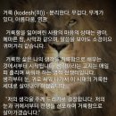 Kodesh
