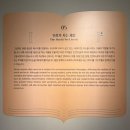 우정타이어 | <볼로냐 일러스트 원화전 59th> 온느뮤지엄 프라이빗 도슨트로 알차게 감상한 후기