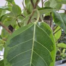 바리스타교실(야간) 이미지