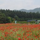 우리가 가꾸는 꽃길 이미지