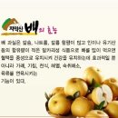 원주원예하나로클럽 이미지