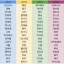 코드 이미지