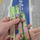 태풍 체육관 | 공룡대발이 안전대모험 용인 공연 후기｜아이랑 다녀온 솔직 리뷰