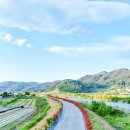 장미꽃길 2 이미지