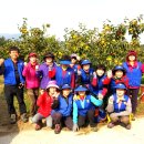 이인자 농장 이미지