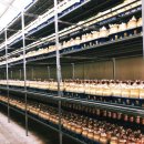 모태영농조합법인 이미지