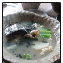 너구리의 피난처 이미지