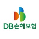 DB 손해보험
