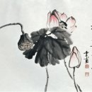 금봉 Daum카페