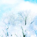 고운스킨 이미지