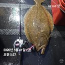 릴미니멀리움스타필드 | 바낙스 테라 SW 6점대 실사용 후기 : 선상 라이트 지깅 올라운드 릴 및 선상 베이트릴 추천