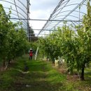 하울농장 이미지