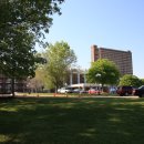 모닝스타 이미지