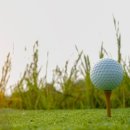 평산토건 이미지