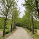 은행목장 이미지