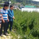 중배농장 이미지