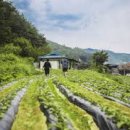 도시탈출 이미지