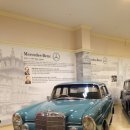 6-309 TS | 세계 클래식 자동차들이 한 자리에-세계 자동차 제주 박물관