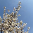 엠블던호텔 이미지