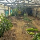 유림농기계 이미지