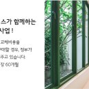 그린-창 이미지