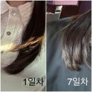 메트로팰리스1 B | [강남 미용실] 도곡동 미용실 마끼에 타워팰리스점 클리닉 시술 솔직후기