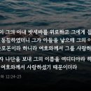 여디디야 이미지