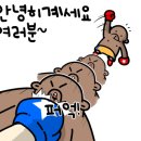 압구정 라이프 복싱 이미지