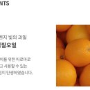 만다린 이미지