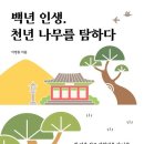백년나무