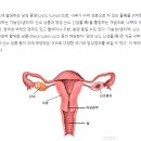 아들딸한의원 이미지
