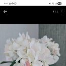 하은네일 네이버블로그