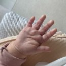 꾸메라이프 | 12주차 육아일기 l 크리스마스 ㅣ 리엘비 옷장 ㅣ 키디몽드 침대 ㅣ 트릭시 노즈워크