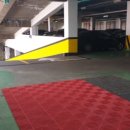 로얄스포츠 이미지