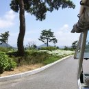 서충주IC주유소 이미지