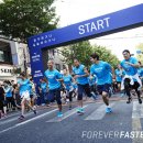 싸이레이스 이미지