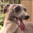 춘봉농장 이미지